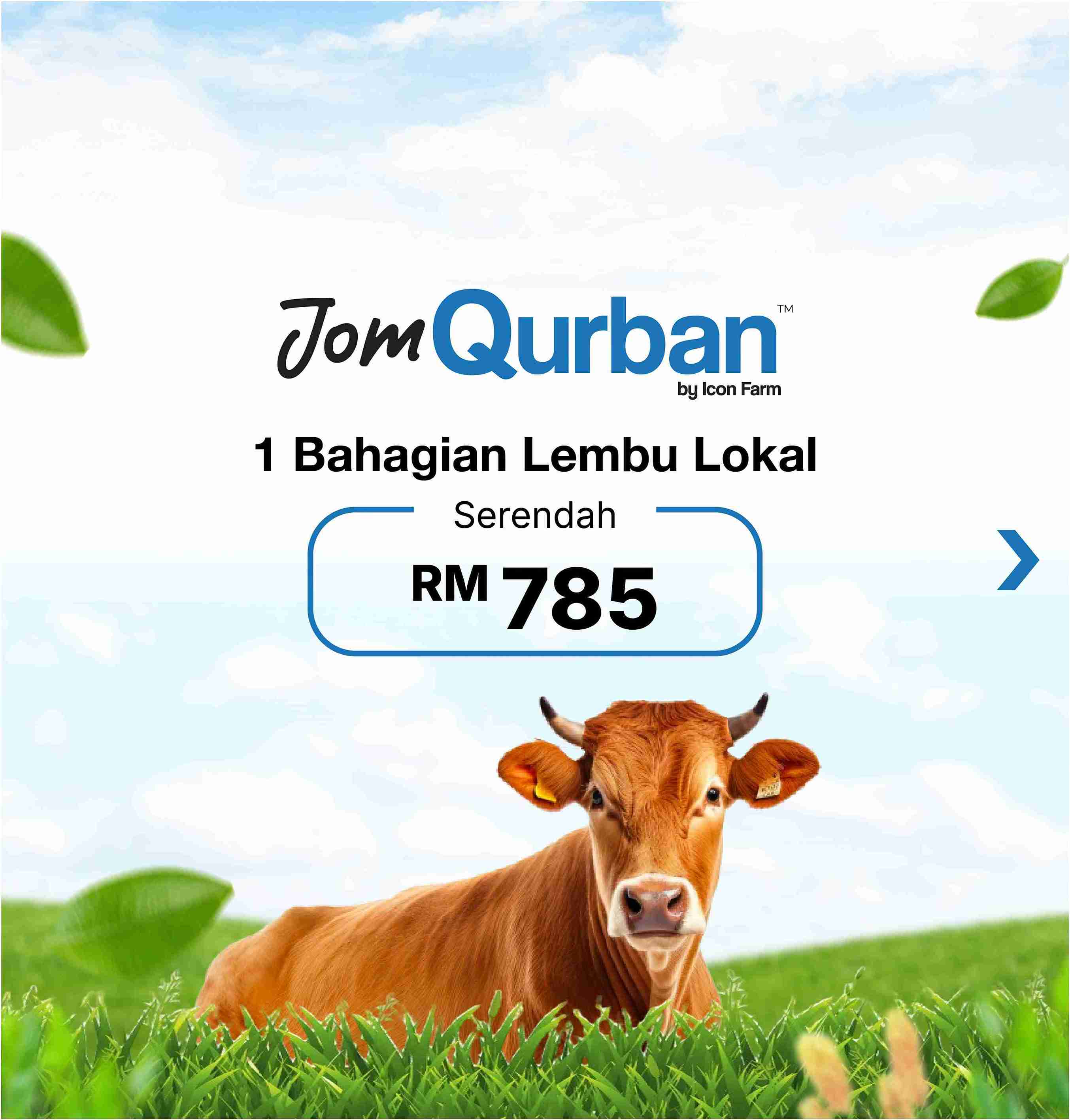 Jomaqiqah & Qurban